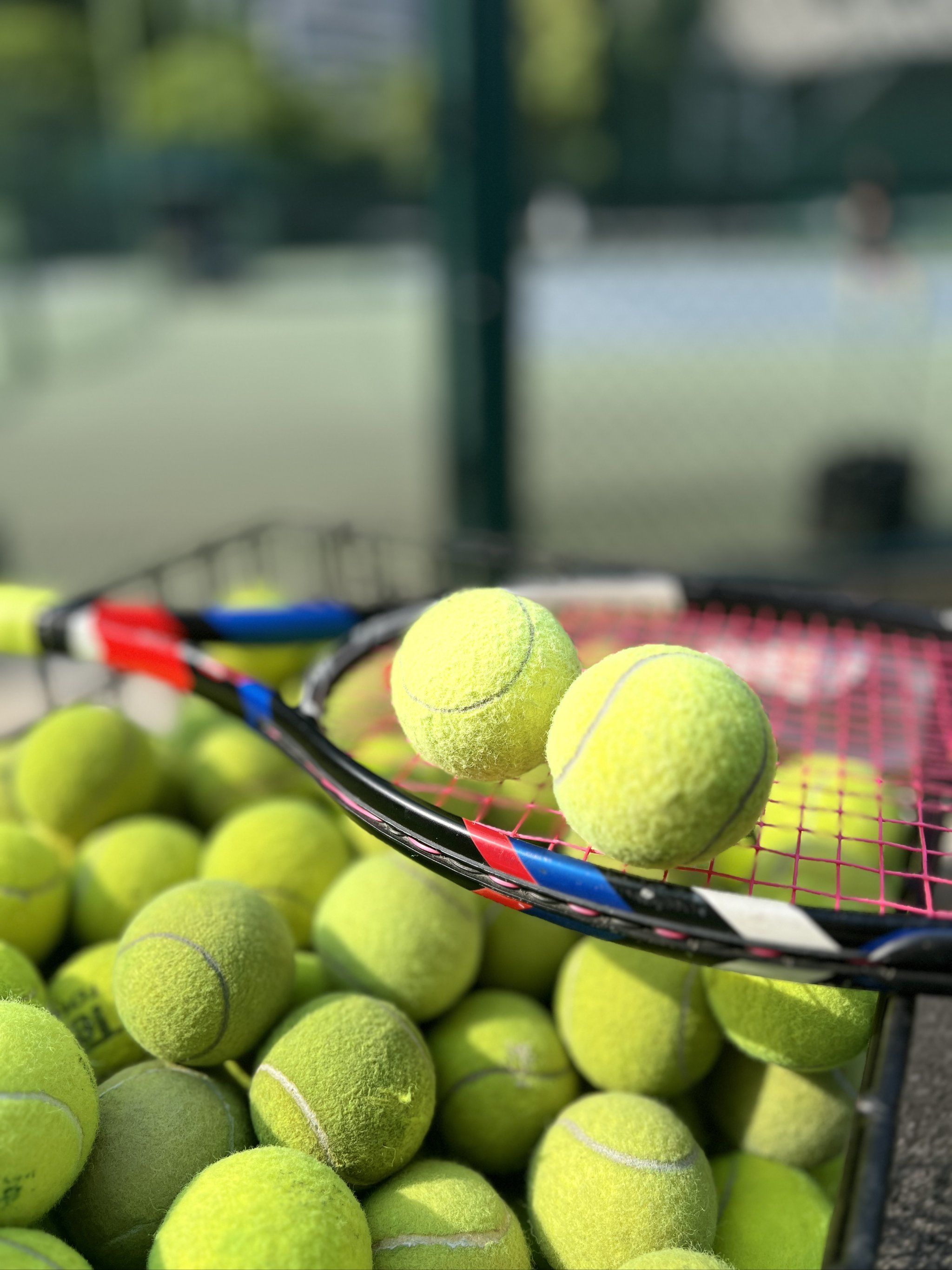 确保湖人队 确保湖人队